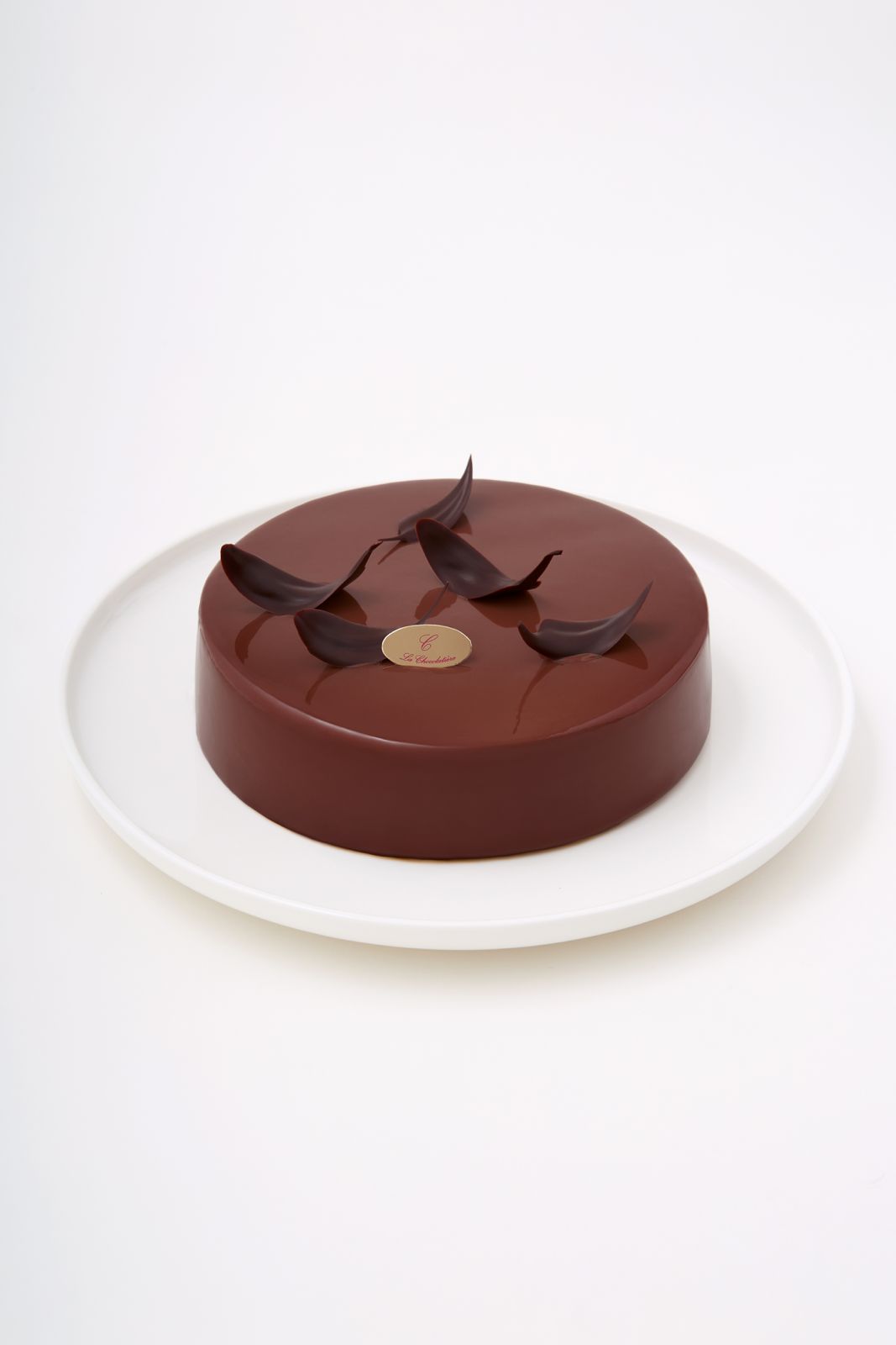 PHOTO-2026-03-27-11-11-23